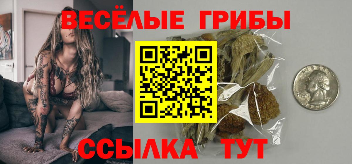 Галлюциногенные грибы мицелий  Вход с VPN  как найти закладки  Пугачёв 