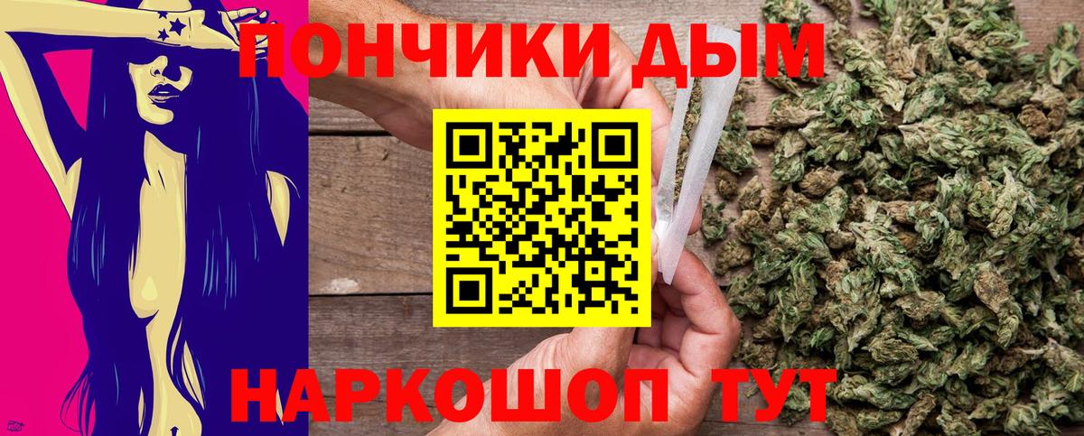 Бошки Шишки планчик  Бошки марихуана конопля  Вход с VPN  Пугачёв  Бошки Шишки индика 